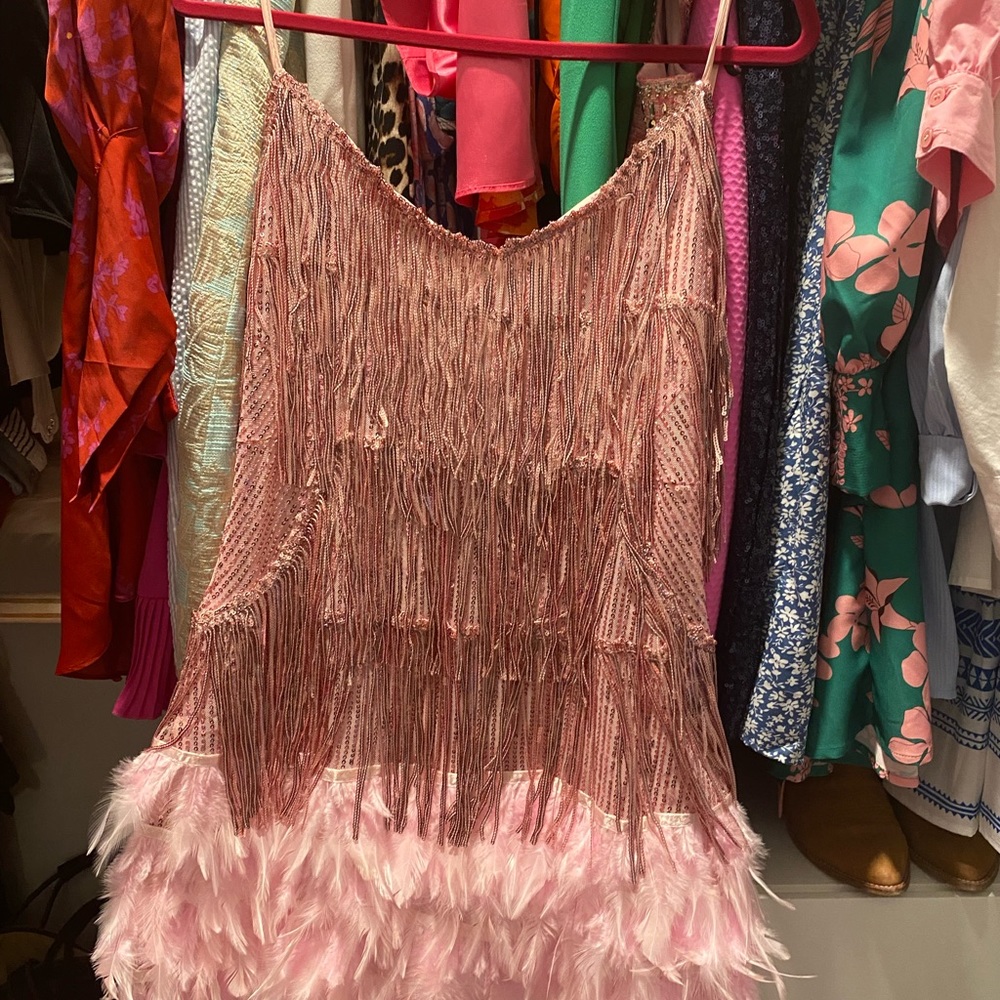 1920’s style party dress never worn! None like it! Gorgeous. Just too small